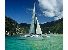 A day of fun and relaxation awaits, as you board a beautiful catamaran and set sail along New Zealands coastal paradise.
