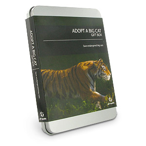 Unbranded Adopt a Big Cat Gift Box