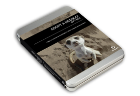 Unbranded Adopt a Meerkat Gift Box