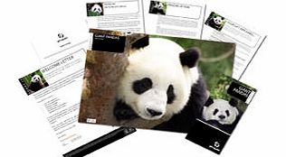 In conjunction with the WWF our Adopt an animal gift allows you to Adopt a tiger  Adopt a Panda