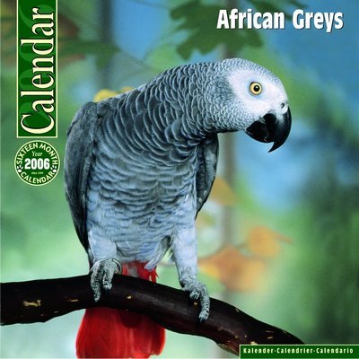 African Greys Calendar