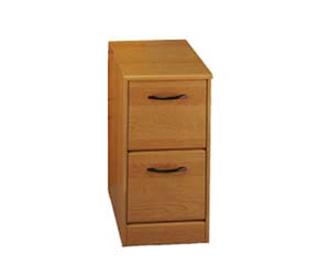 Stand alone 2 drawer filing cabinet in stylish wood laminate finish will fit nicely into any room