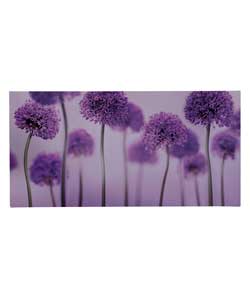 Photographic panorama of purple allium flowers.Size: 50 x 100cm.