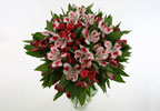 Unbranded Alstroemeria Bouquet