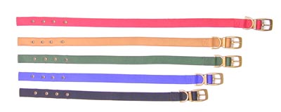 Pets Dogs Collars Leads Synthetic Leads Collars