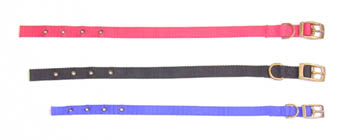 Ancol Nylon Collar 12"