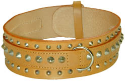 Pets Dogs Collars Leads Leather Leads Collars