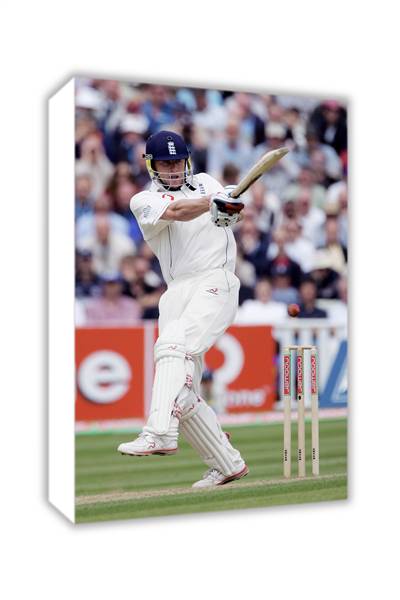 Unbranded Andrew Flintoff hits out and#8211; Canvas collection