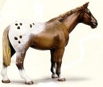 Appaloosa Stallion- Schleich