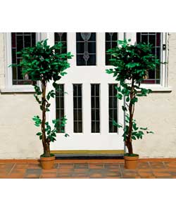 Quality decorative Banyan tree with wooden trunk and synthetic leaves.No watering or feeding require