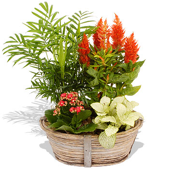 Unbranded Autumn Basket - flowers