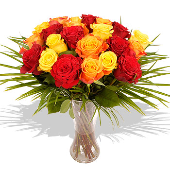 Unbranded Autumn Roses - flowers