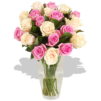 Unbranded Avalanche of 20 Roses - flowers