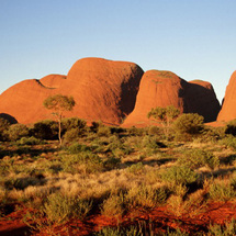 Unbranded Ayers Rock Sunrise and Kata Tjuta Valley of the Winds Walk - Adult