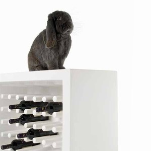The unique Bachus Wine Rack holds a massive 40 bottles of your favourite tipple, and with it