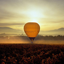 Unbranded Balloon Flight Over the Yarra Valley - Child