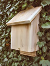 This natural and attractive Bat Box will fit into any garden  woodland or house wall site. It is mad