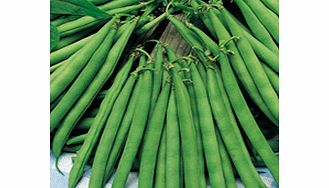 Unbranded Bean (French Dwarf) Plants - Eclarel
