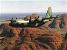 Unbranded C-130 Hercules: Length 14.30 inches, Wingspan 19.84 inch - As per Illustration