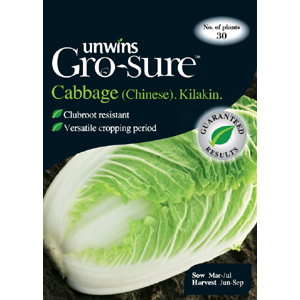 Unbranded Cabbage (Chinese) Kilakin Vegetable Seeds