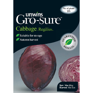 Unbranded Cabbage Regilius Vegetable Seeds