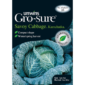 Unbranded Cabbage (Savoy) Kamchatka Vegetable Seeds