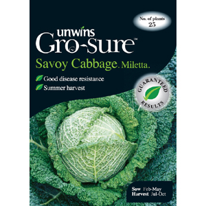 Unbranded Cabbage (Savoy) Miletta Vegetable Seeds