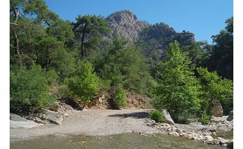 Cabrio Bus Safari - From Side - Intro The Cabrio Bus Safari from Side takes you deep into the Taurus Mountains for a day filled with adventure both on and off the water! Cabrio Bus Safari - From Side - Overview Head into the Taurus Mountains on the C