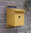 See and hear nature in close-up with this camera nest box which will send live sounds and images dir