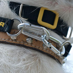 Canny Carabiner Clips allow you to leave your Canny Collar on when your dog is off lead by simply br