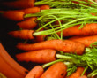 Long season sweet baby carrots with a good colour and texture. Sow January-July, harvest April-Octob