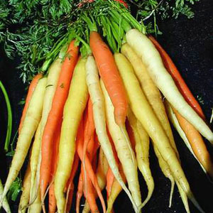 Unbranded Carrot F1 Rainbow Mixed Seeds