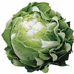 Unbranded Cauliflower Triomphant F1 Seeds 434365.htm
