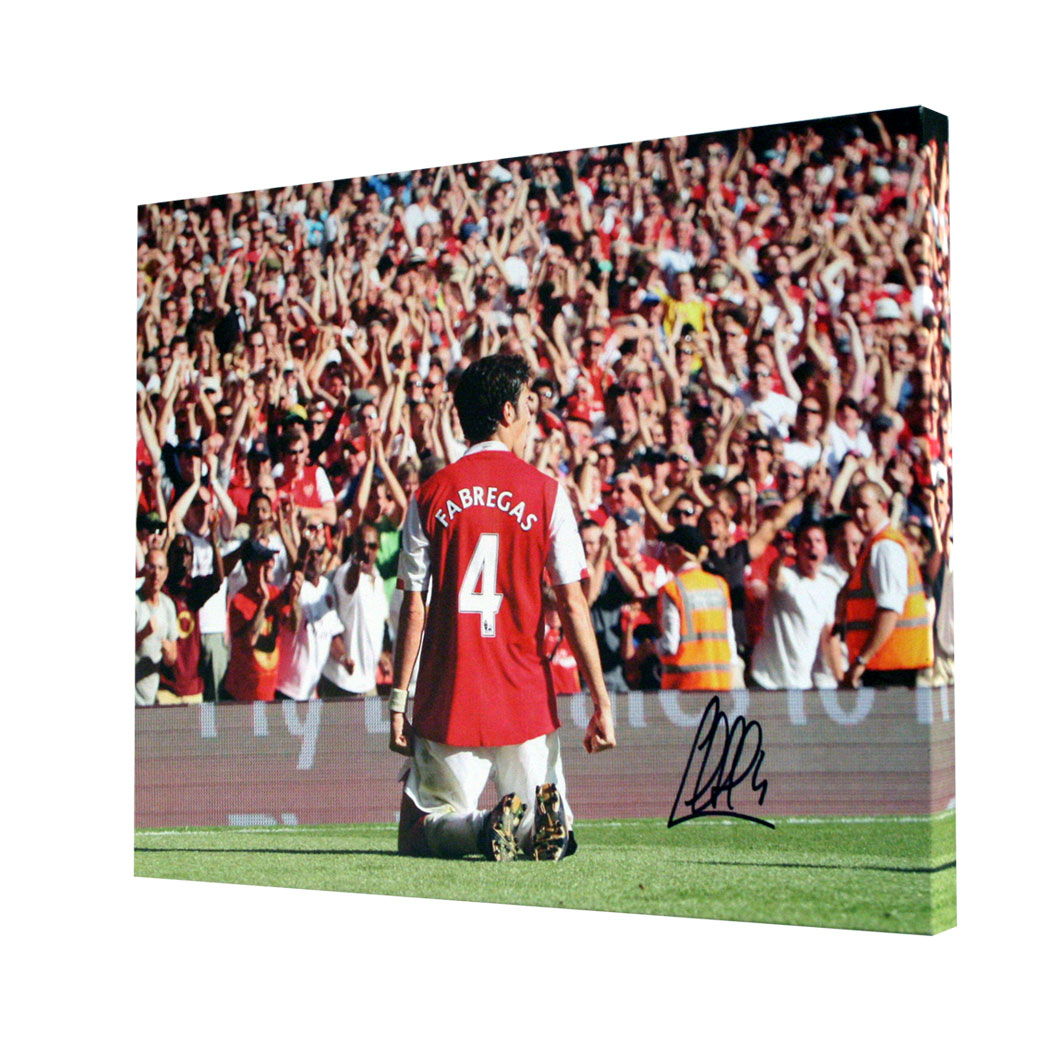 Unbranded Cesc Fabregas Signed Arsenal Box Canvas
