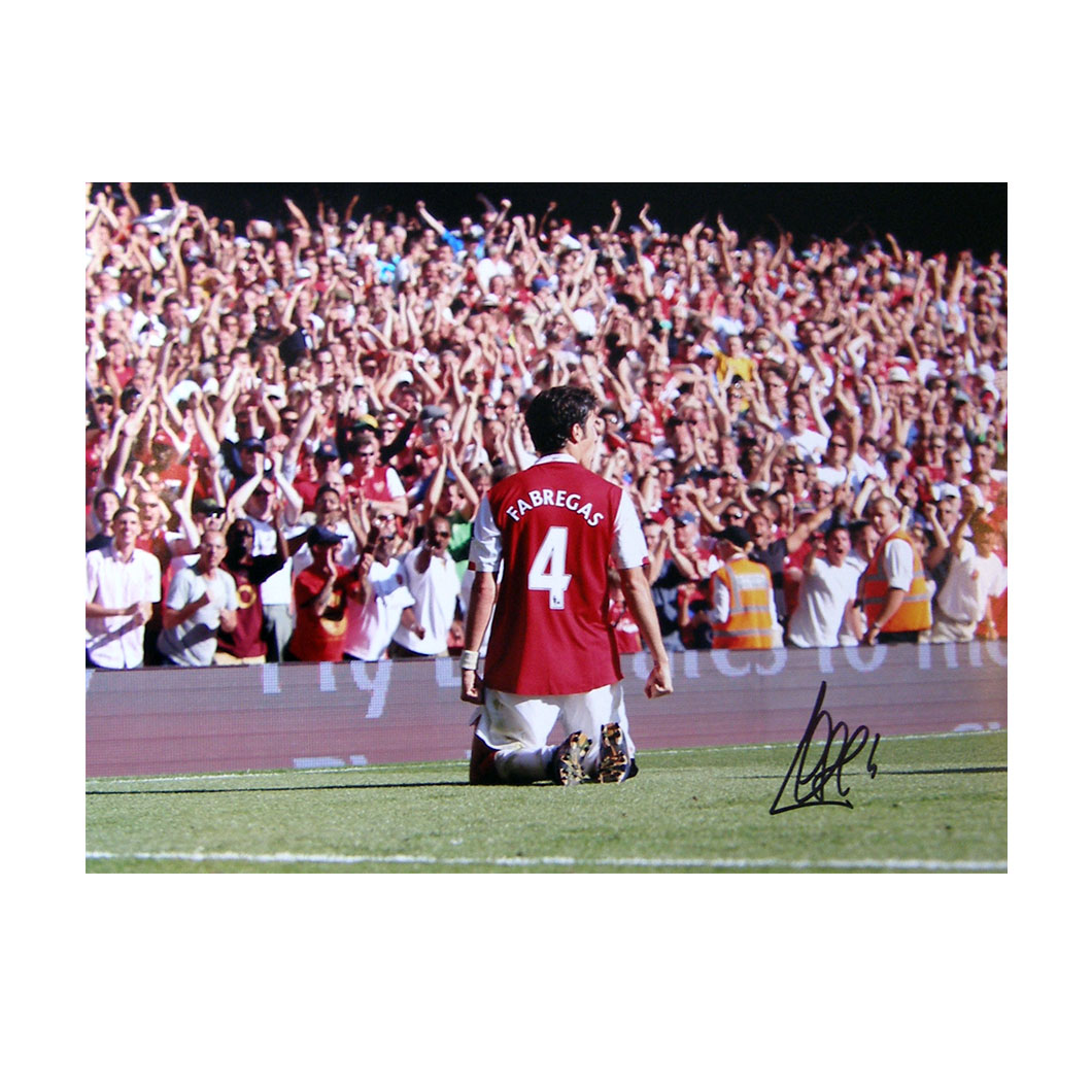 This photograph shows Cesc Fabregas celebrating after scoring the winning goal for Arsenal against M