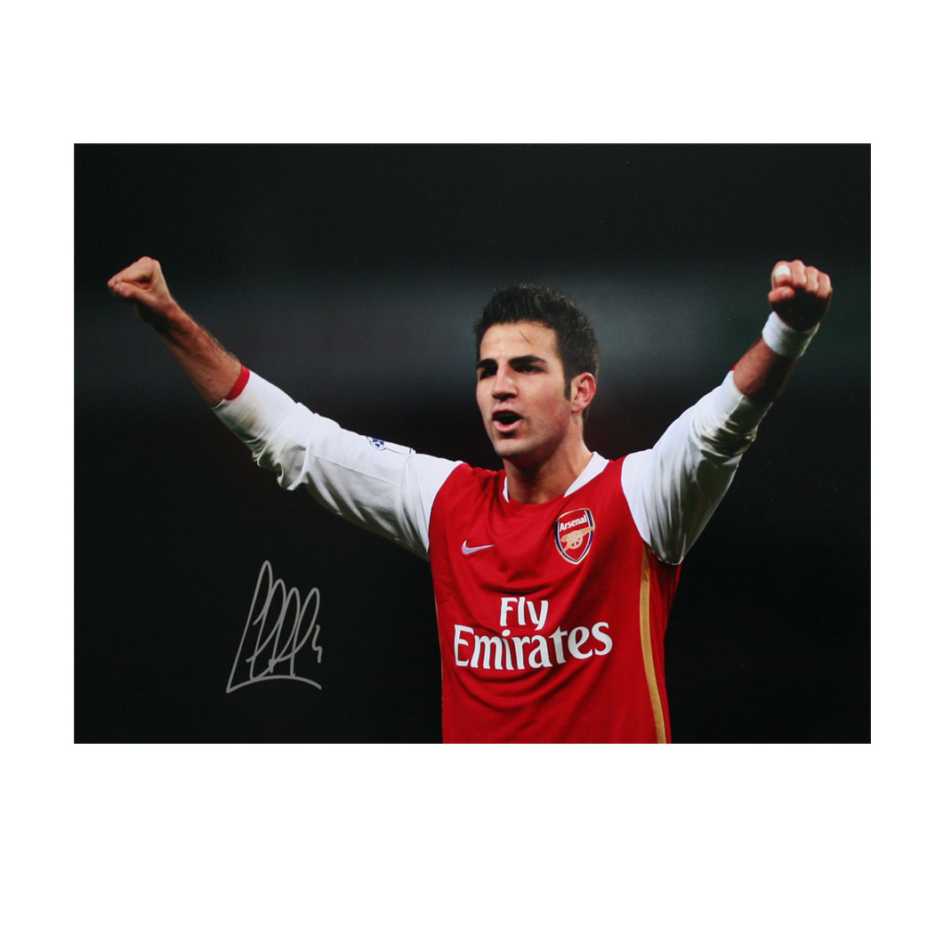 This photograph show Cesc Fabregas celebrating on the pitch at the Emirates after the Premiership wi