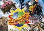 Chessington World of Adventures and Zoo Entry in 2008