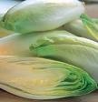 Unbranded Chicory, twin pack