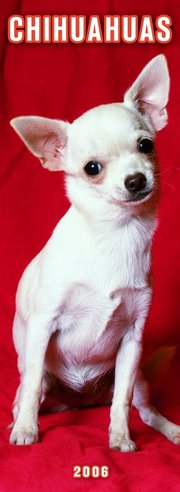 Chihuahua - SLIM Calendar