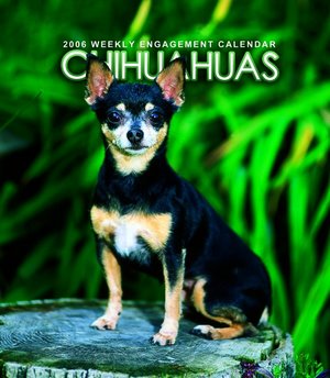 Chihuahua Weekly Engagement Calendar