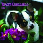 Chihuahuas - Teacup Calendar