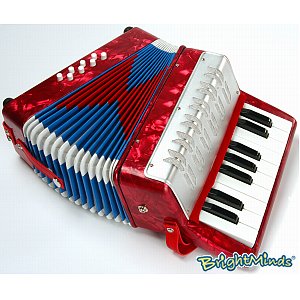 Unbranded Child` Accordion