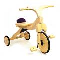 Childrens Wooden Trike
