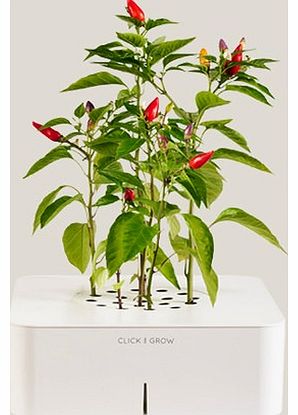 Unbranded Chilli Growing Kit with Soil Tester