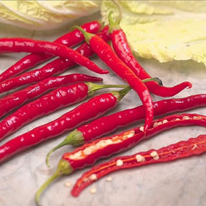 This great variety of Chilli Pepper produces excellent crops of slender chilli peppers. Guaranteed t