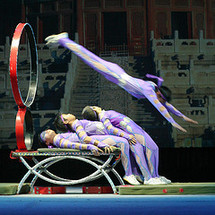 Unbranded Chinese Acrobats and Shanghai Evening Tour - Adult