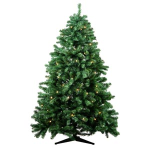 Christmas Tree - Mountain Pine