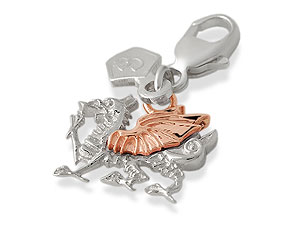 Unbranded Clogau-9ct-Rose-Gold-And-Silver-Welsh-Dragon-Charm-074463