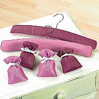 4 scented sachets and 2 padded coat hangers