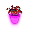 Unbranded Colour Changing Flower Pot Mood Light